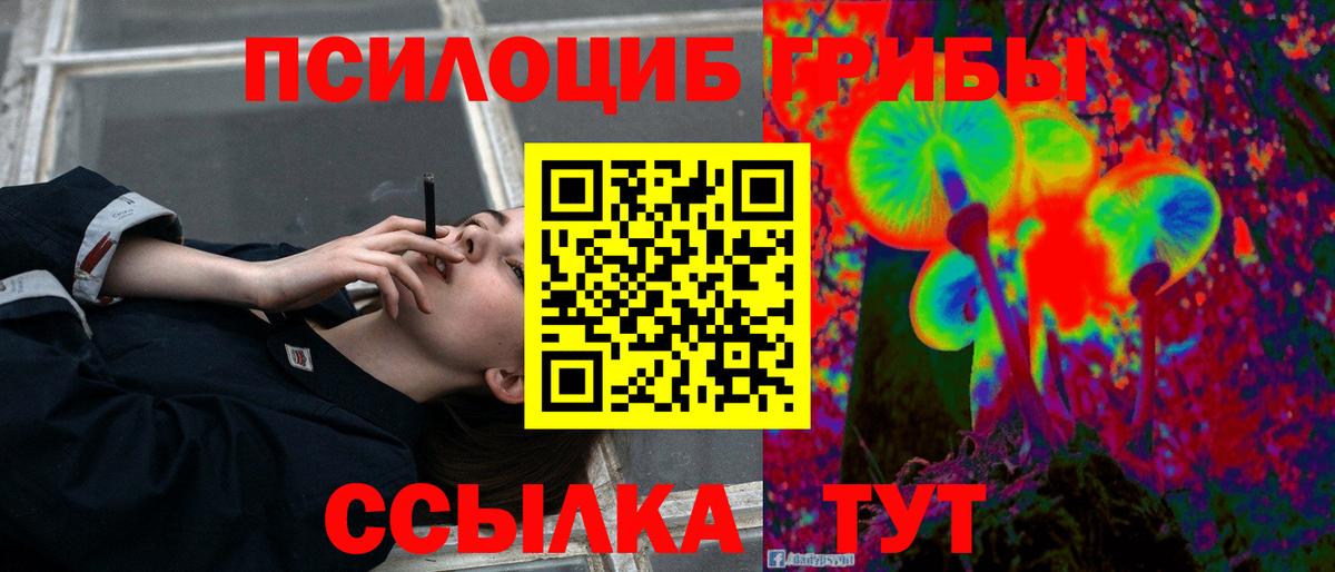 Псилоцибиновые грибы мухоморы  Псилоцибиновые грибы Psilocybe  Карталы  Вход с VPN 