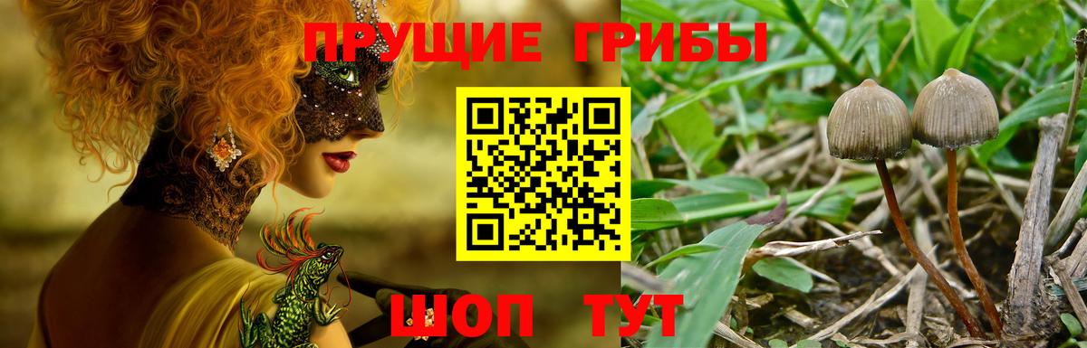 Галлюциногенные грибы мухоморы Карталы